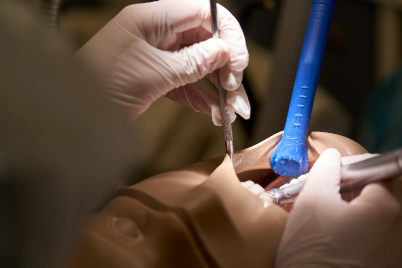 Close up of Dentistry teaching practical